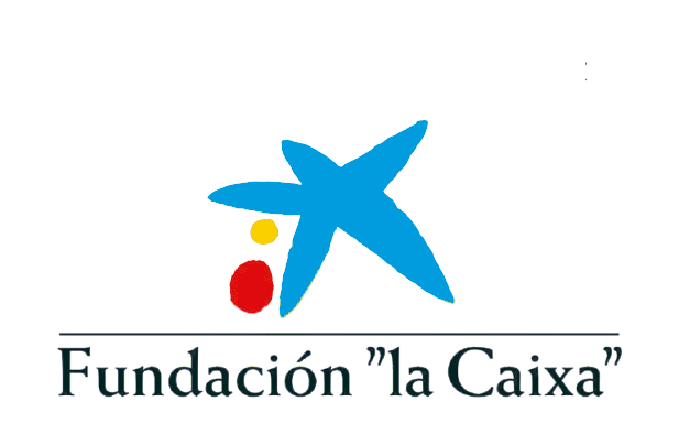 PROYECTO 3